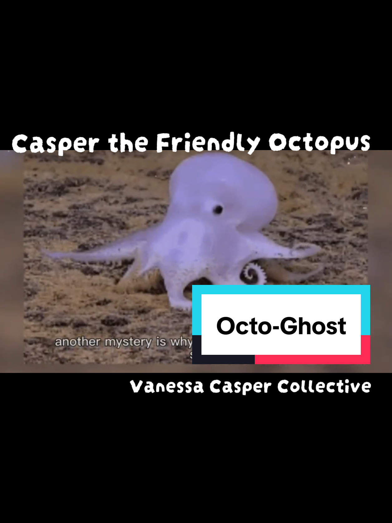@Vanessa Irino Casper Collector