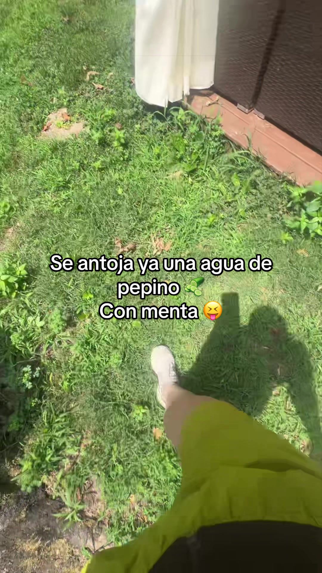 @Alejandra