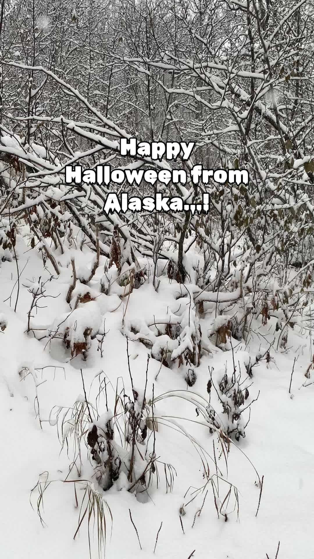 @@hikingalaska