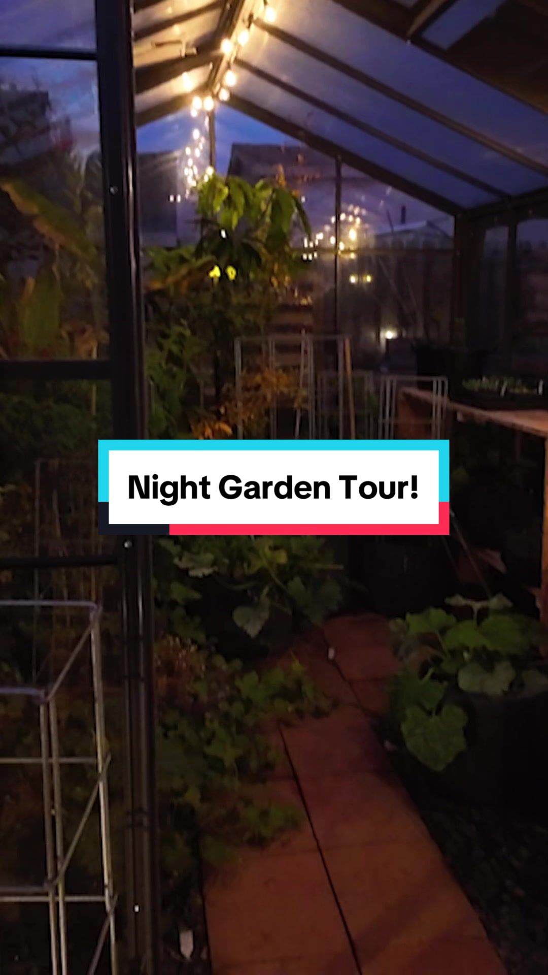 @jacquesinthegarden