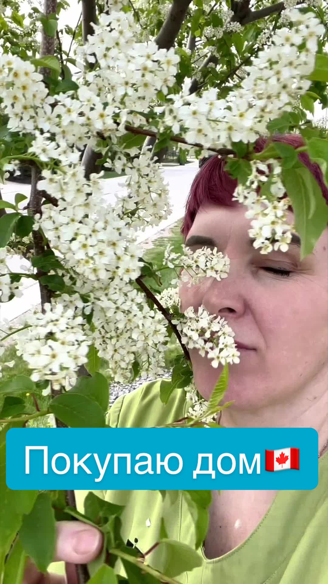 @AllaCanada