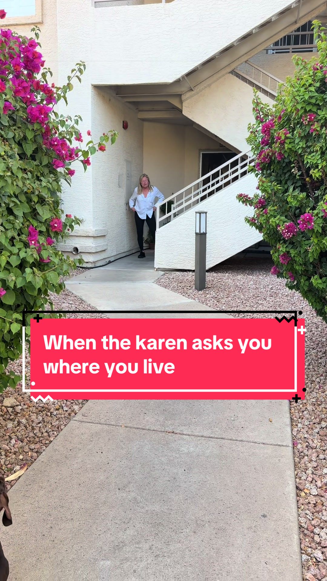 @kimmy