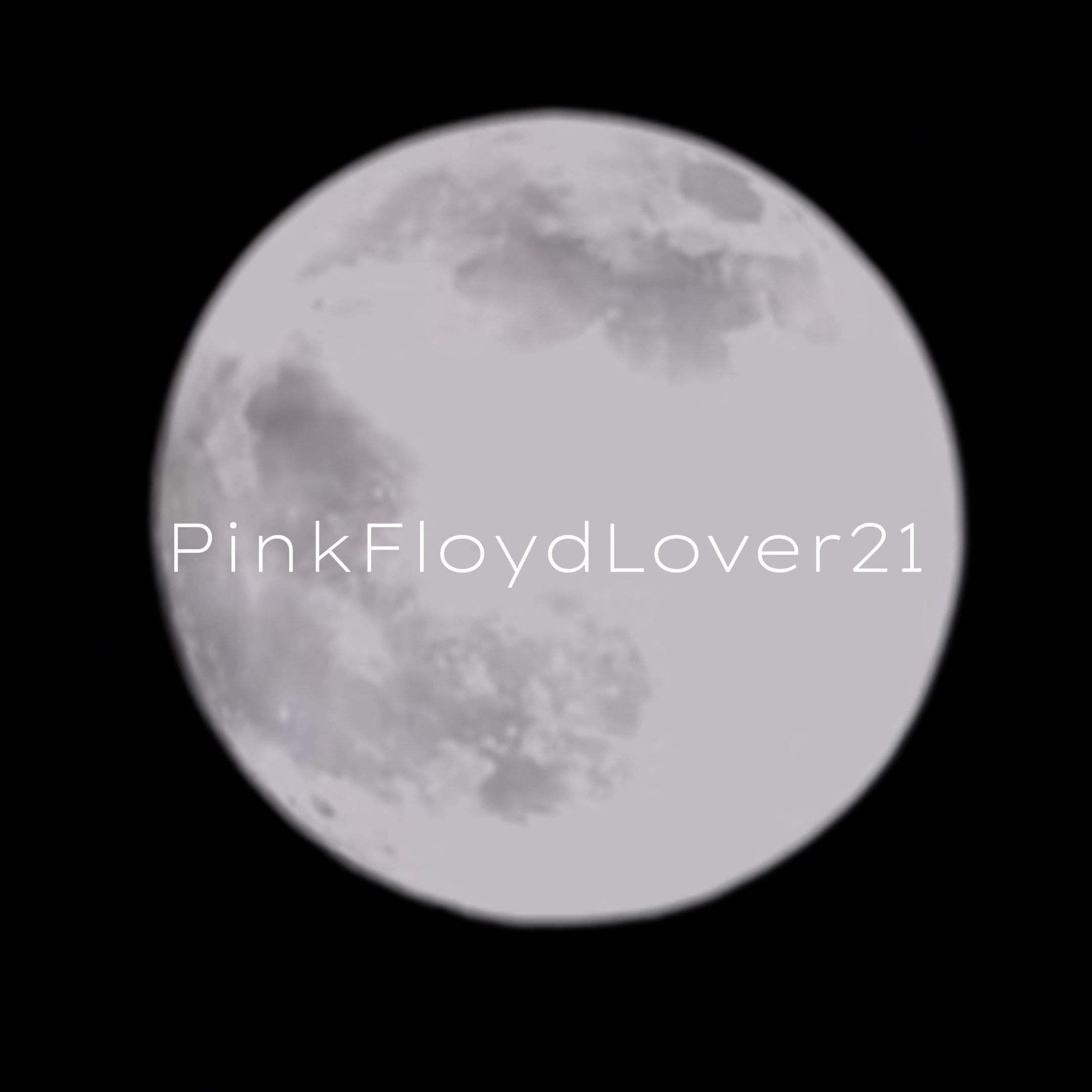 @PinkFloydLover21