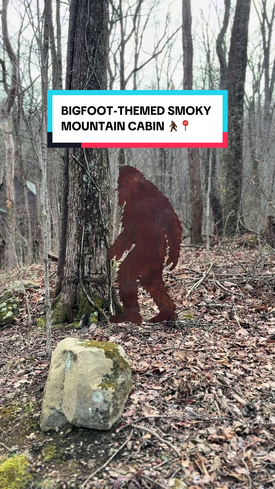 @SmokyMountainDreamVacation.com