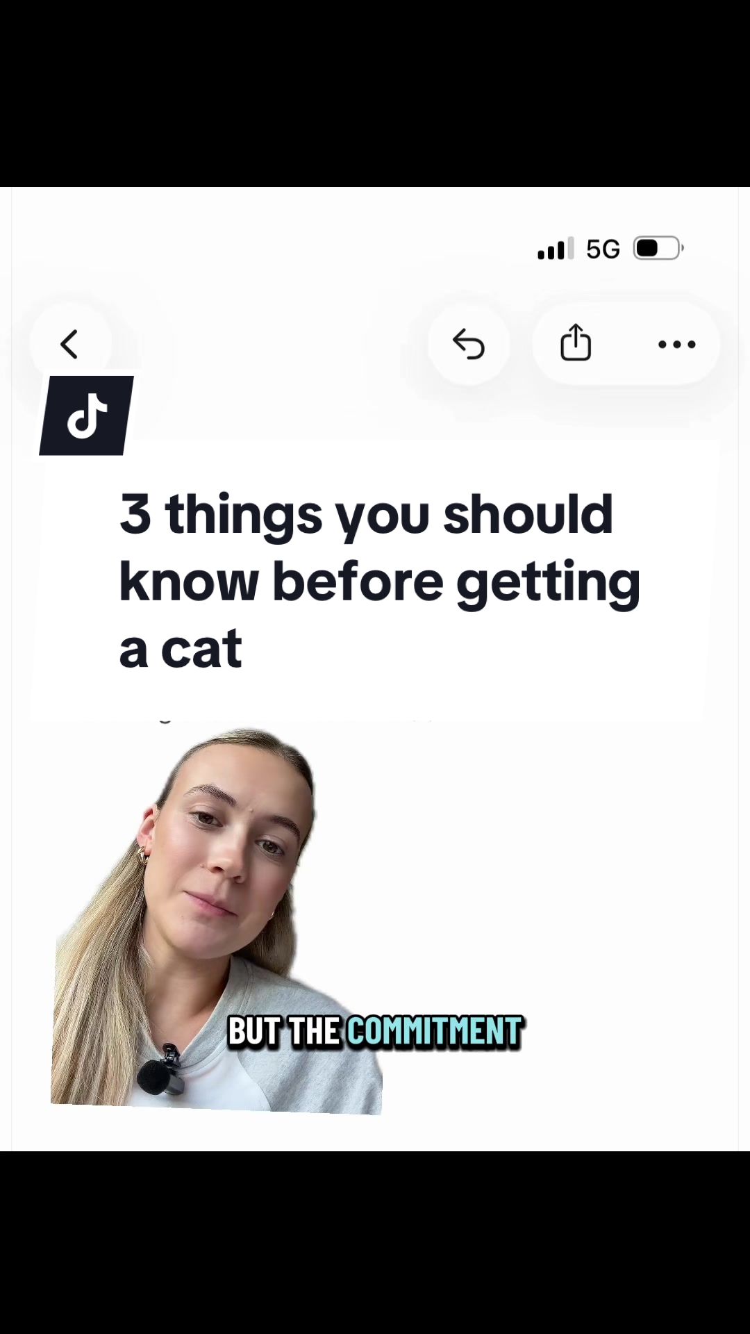 @Tuft & Paw