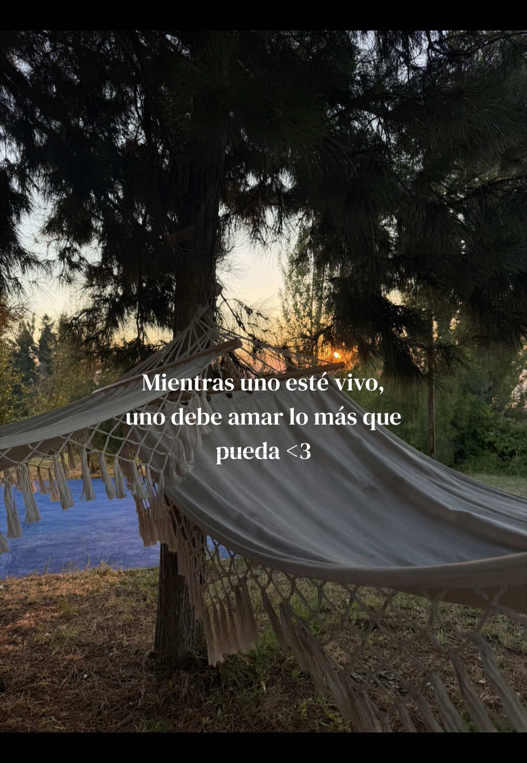 @catita