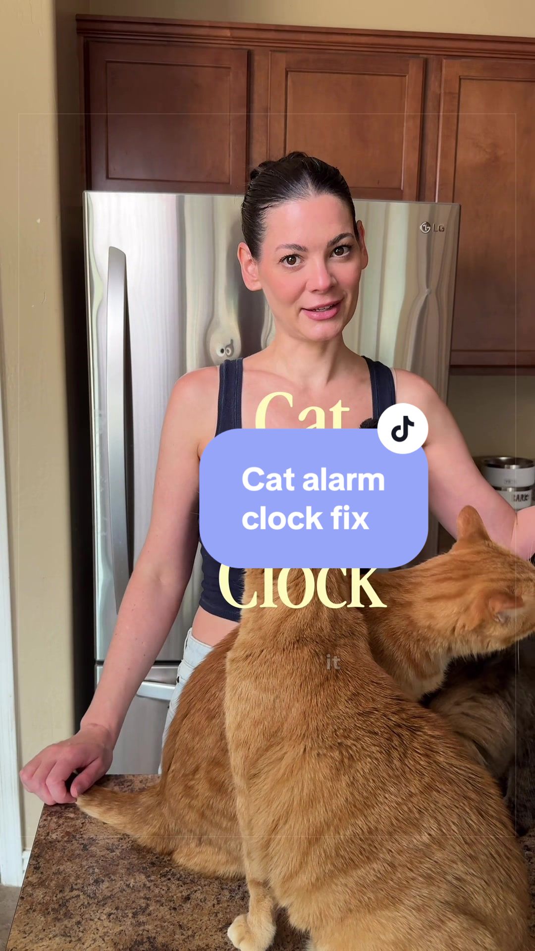 @Feminist Kitty | Cat Nutrition