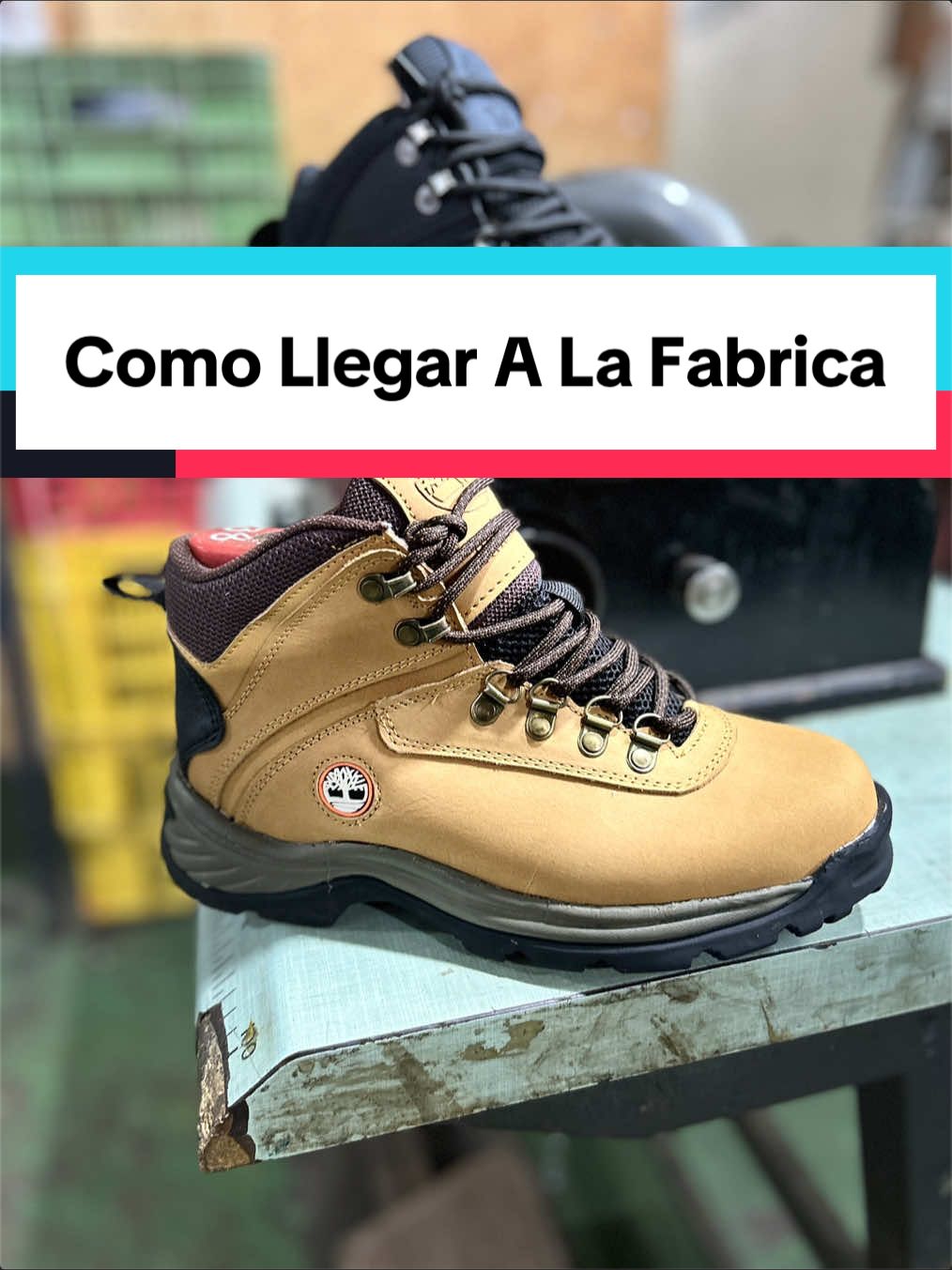 @GeorChauuu