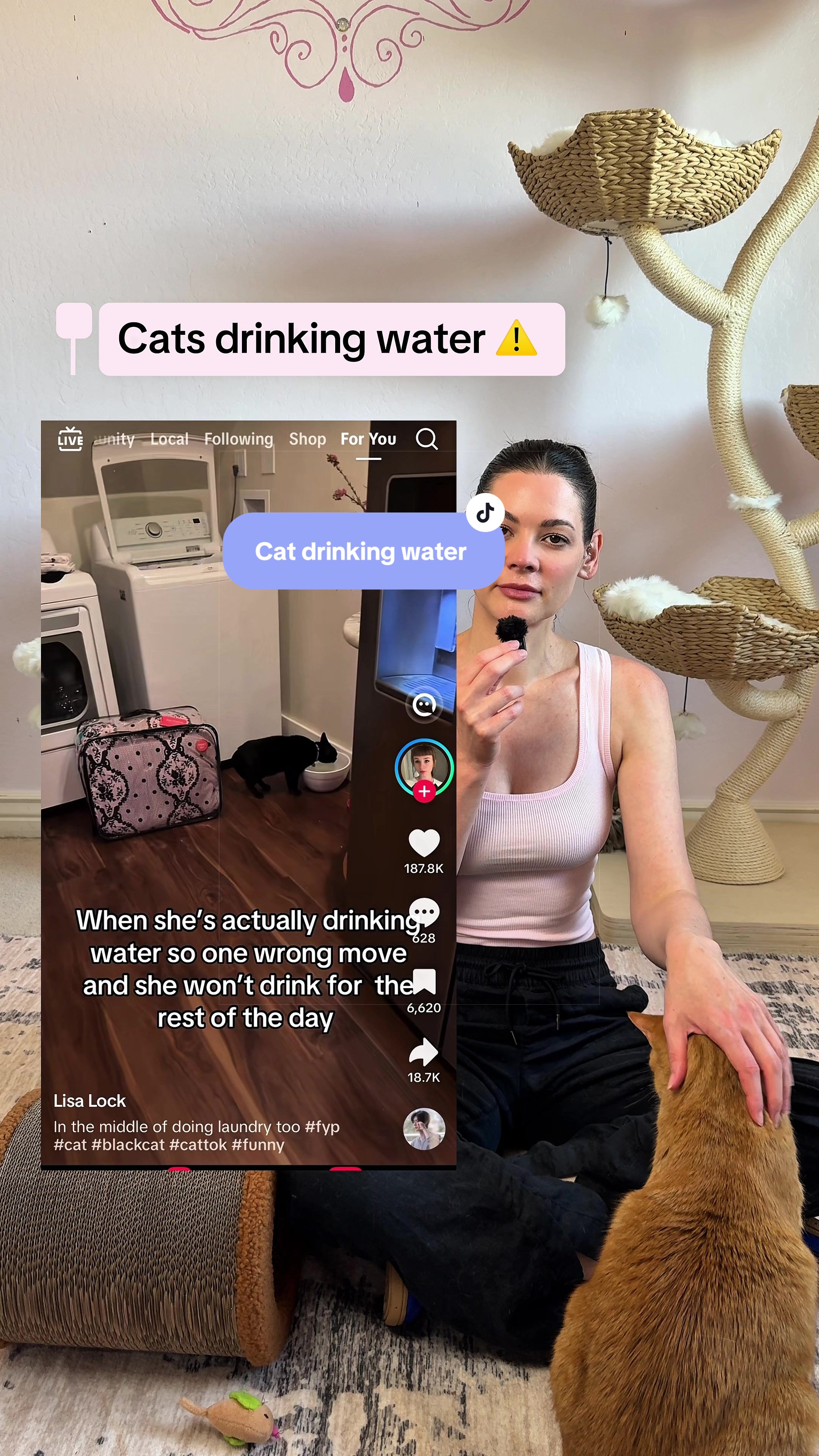 @Feminist Kitty | Cat Nutrition