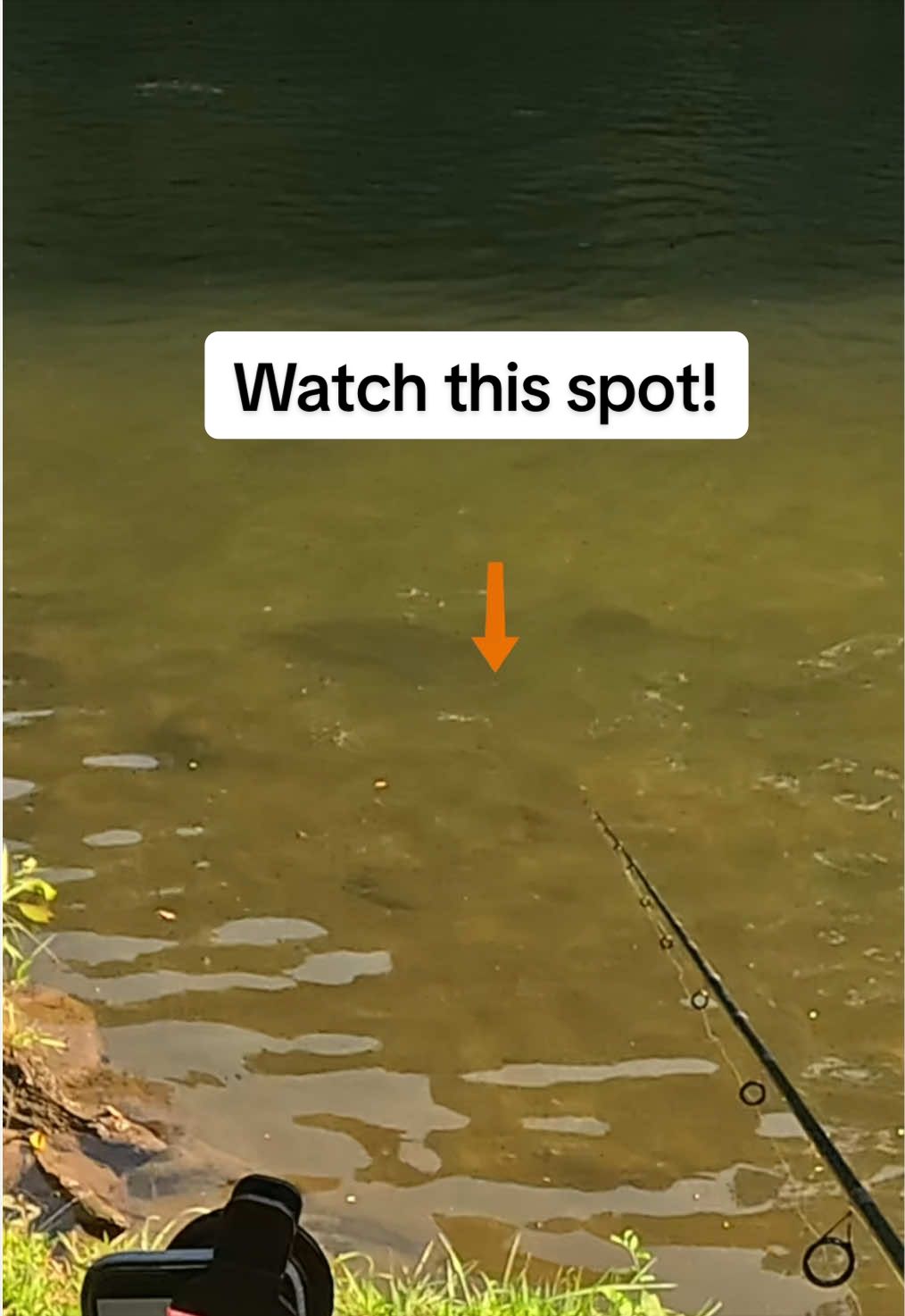 @Dunamis Angling