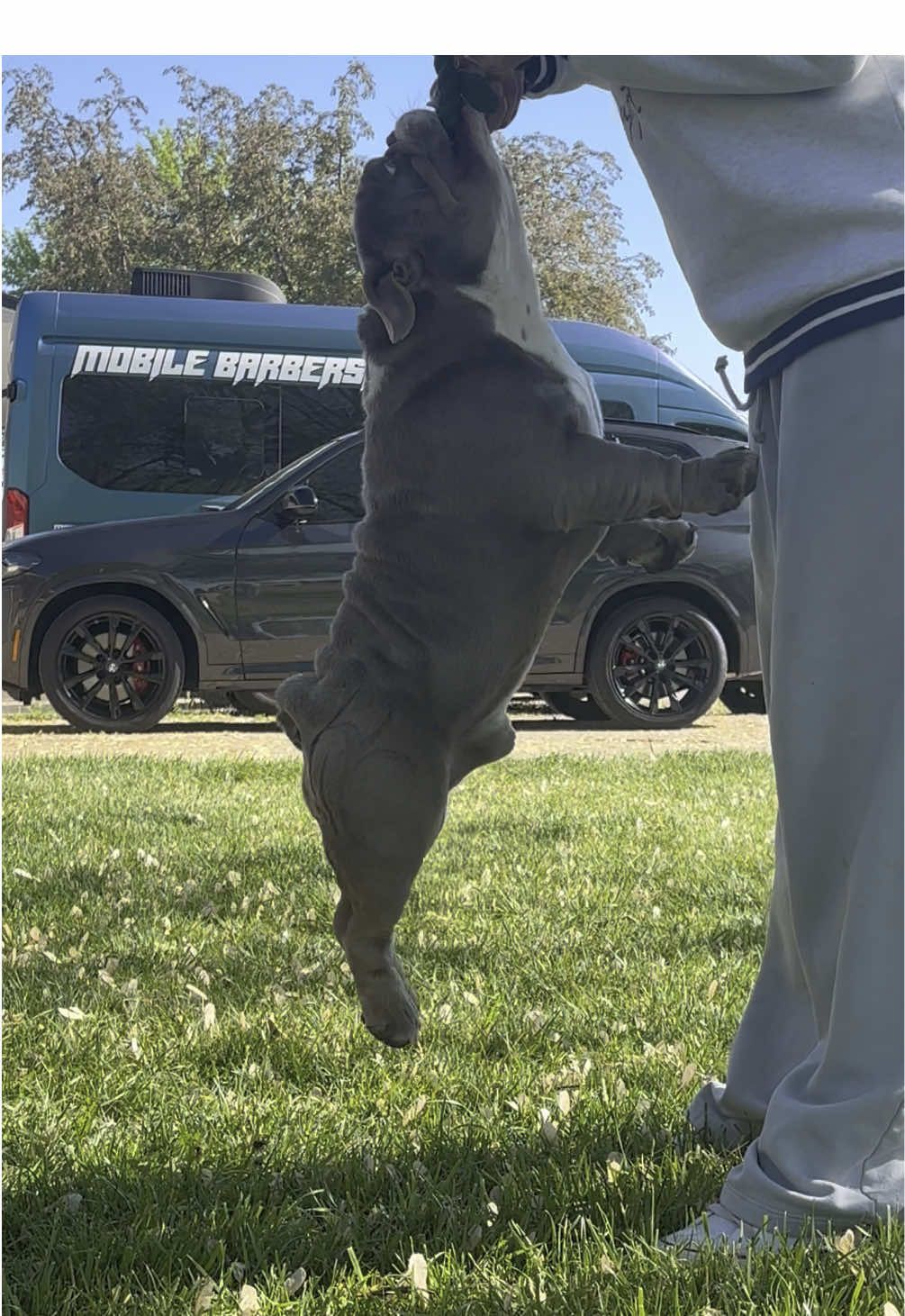 @1of1bulldogz