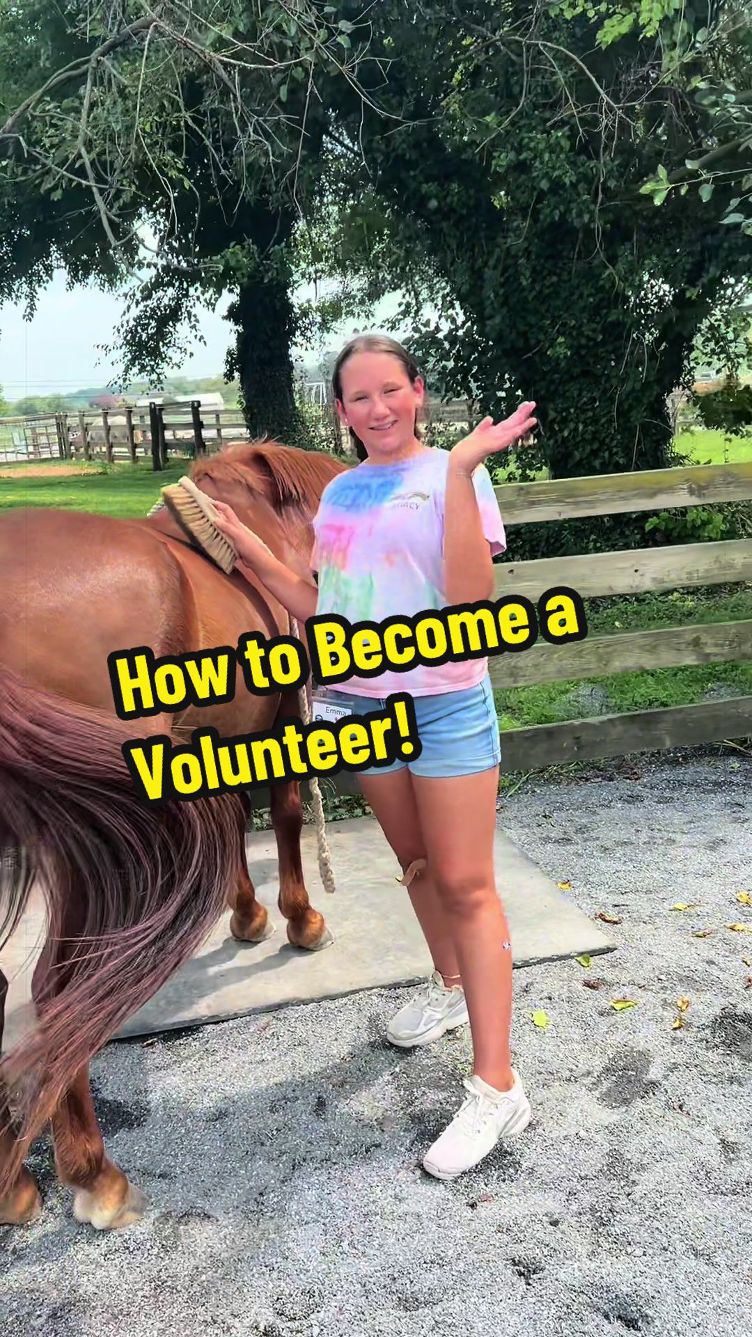 @Days End Farm Horse Rescue