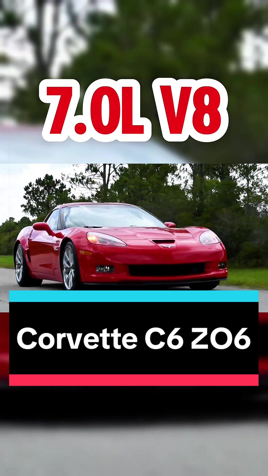 @TorqueHub🚘