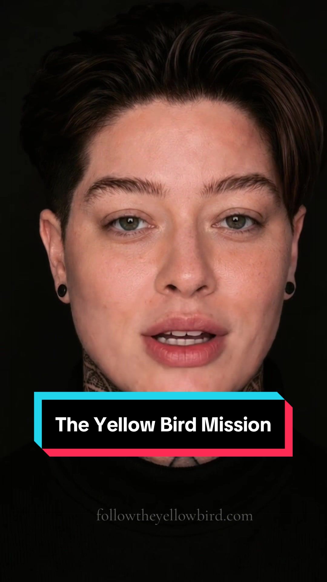 @Follow The Yellow Bird