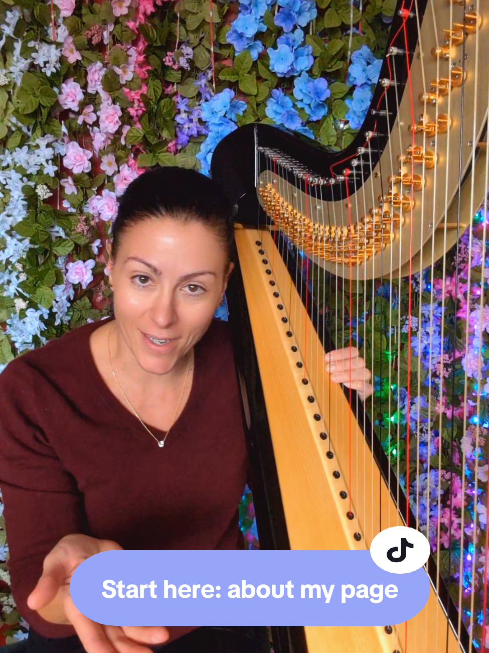 @hillarytheharpist