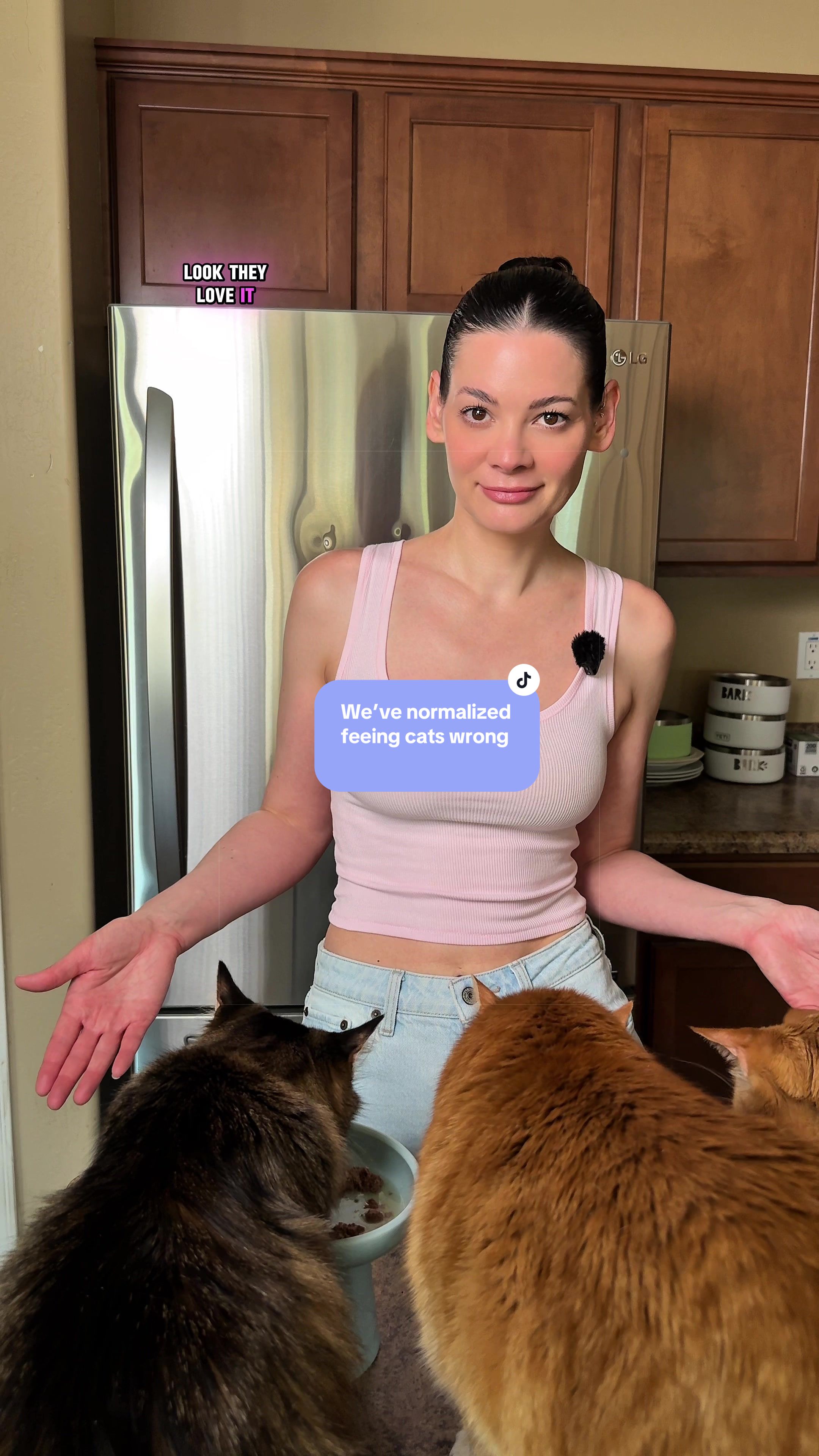 @Feminist Kitty | Cat Nutrition