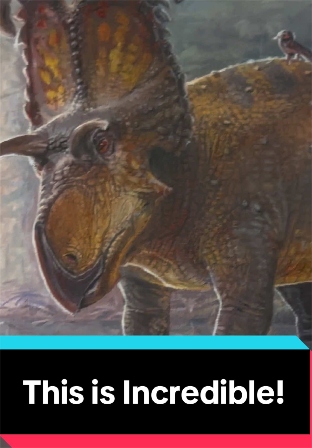 @Dino Guy