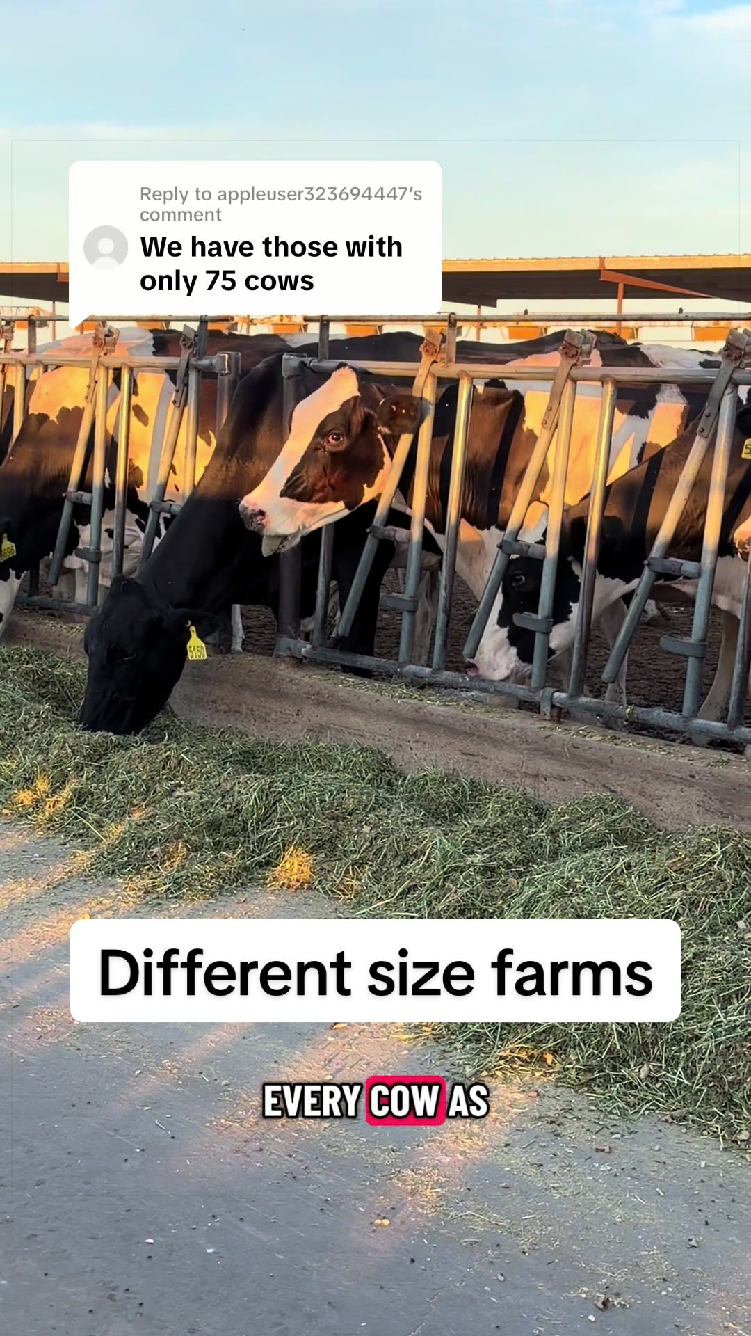 @Dairy Vet Dr. Michelle
