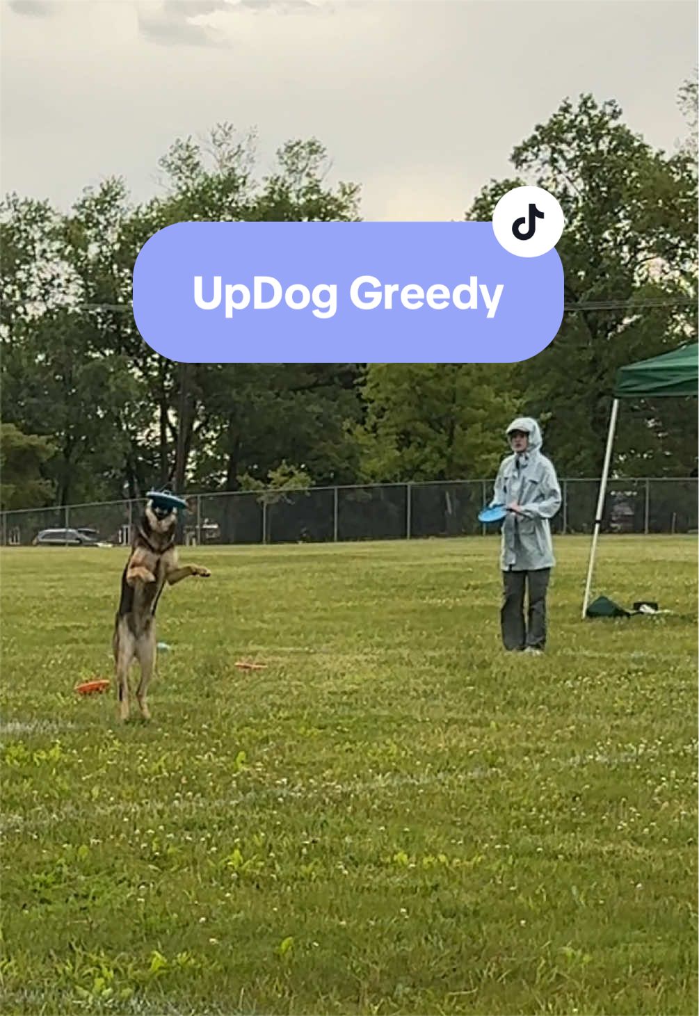 @Kay and Kipper 🐕