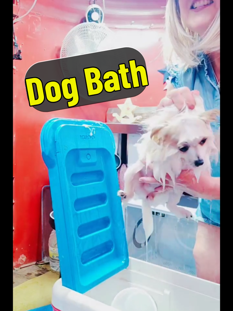@Pompoochie