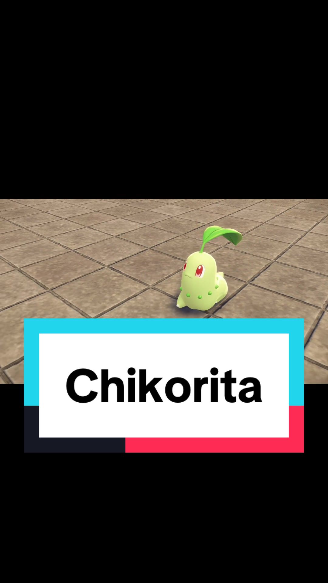 @Mr. Ninja