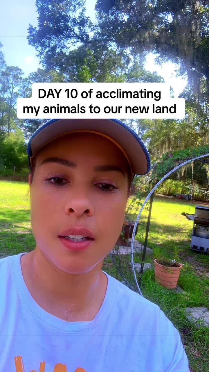 @KTeamAdventures🚜💛🦋