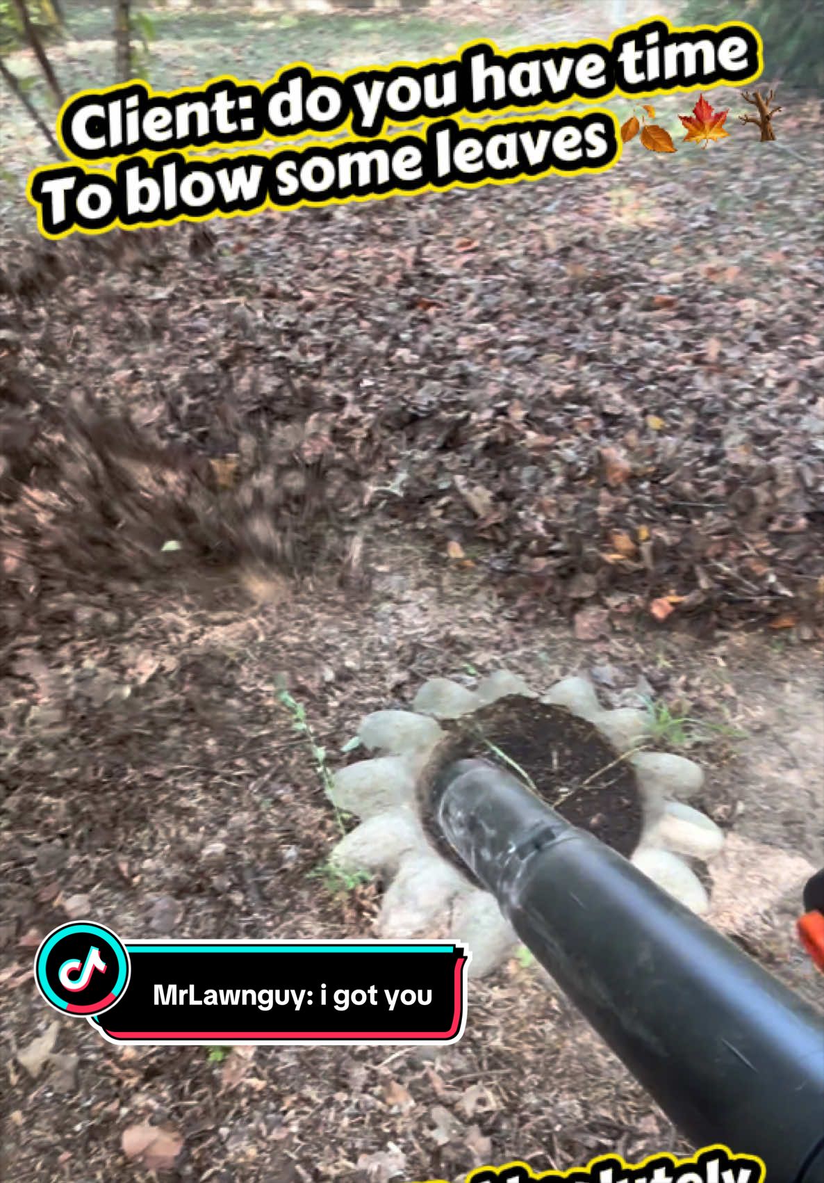 @MrLawnGuy