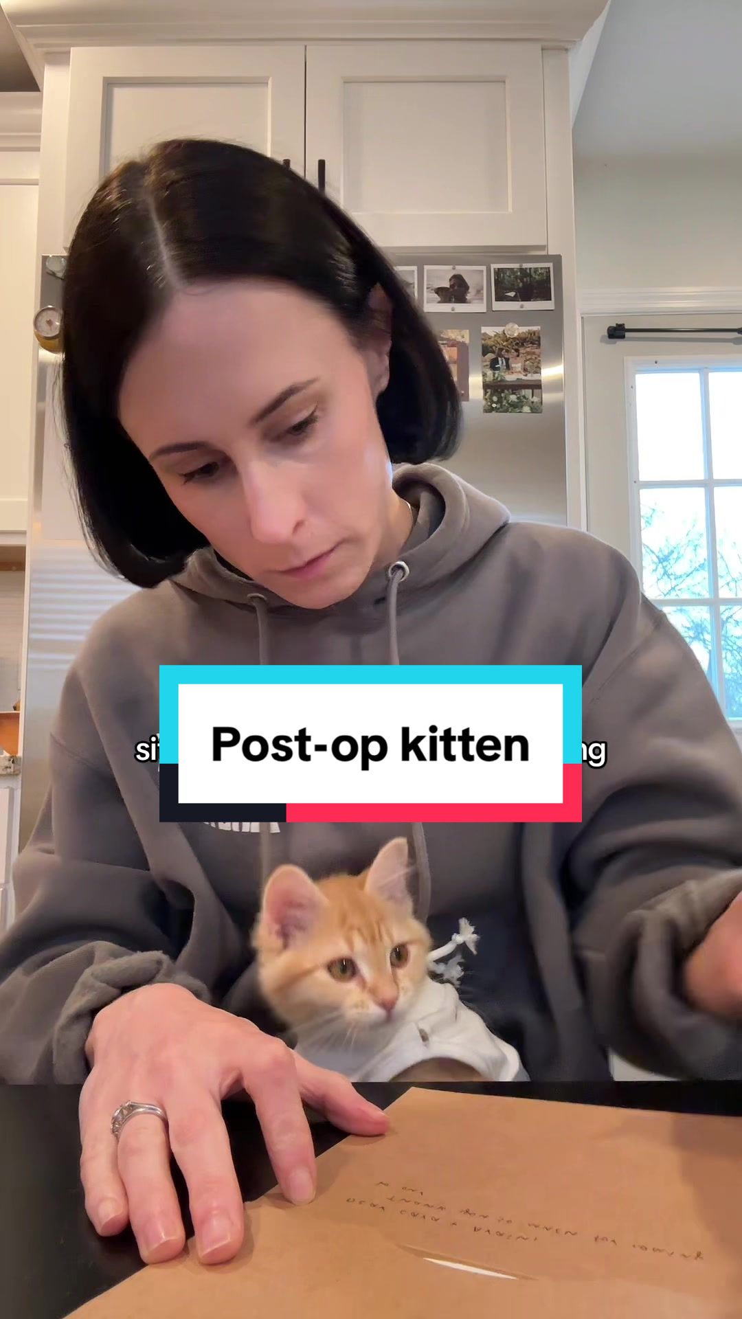 @Christina | Cat Rescue 🐾