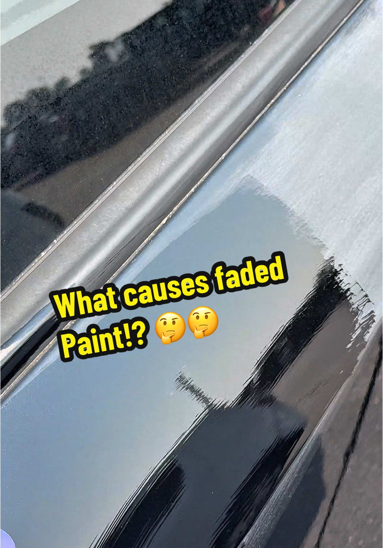 @Shiny Car Stuff