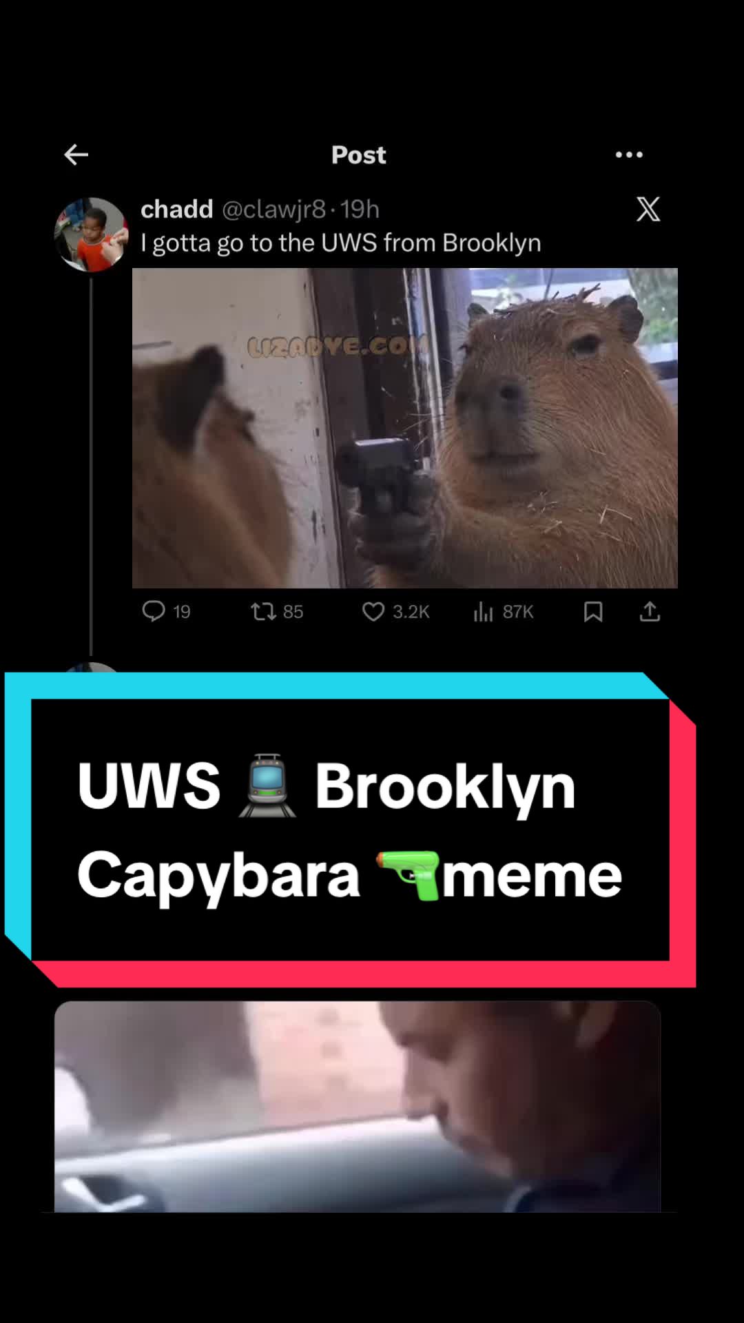 @𓋹
