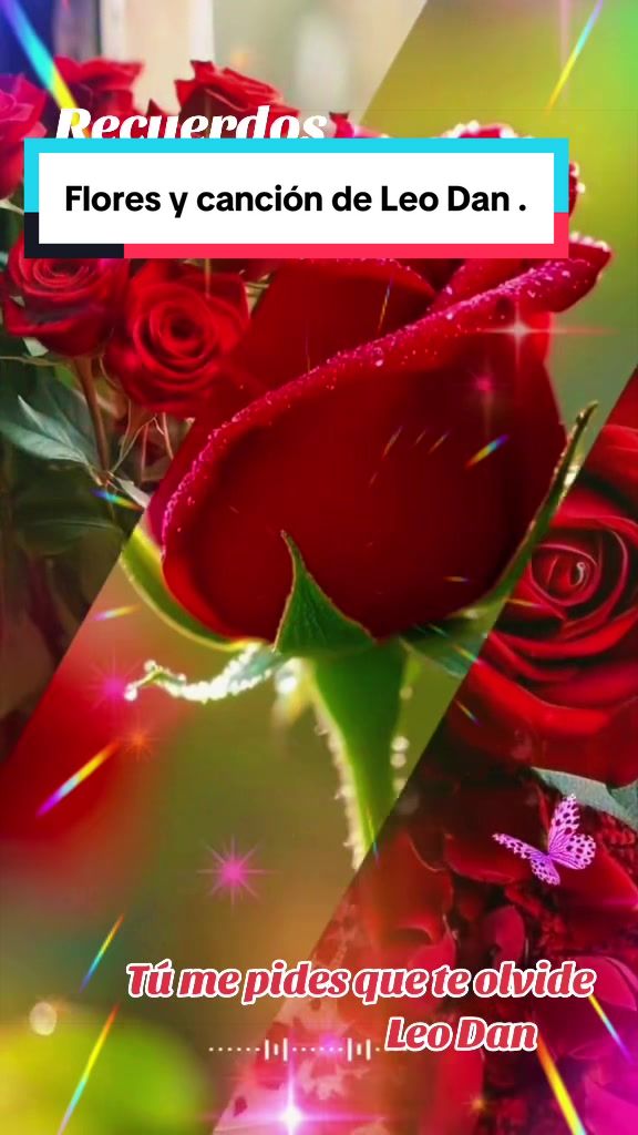 @💛Olgaconesa5💛