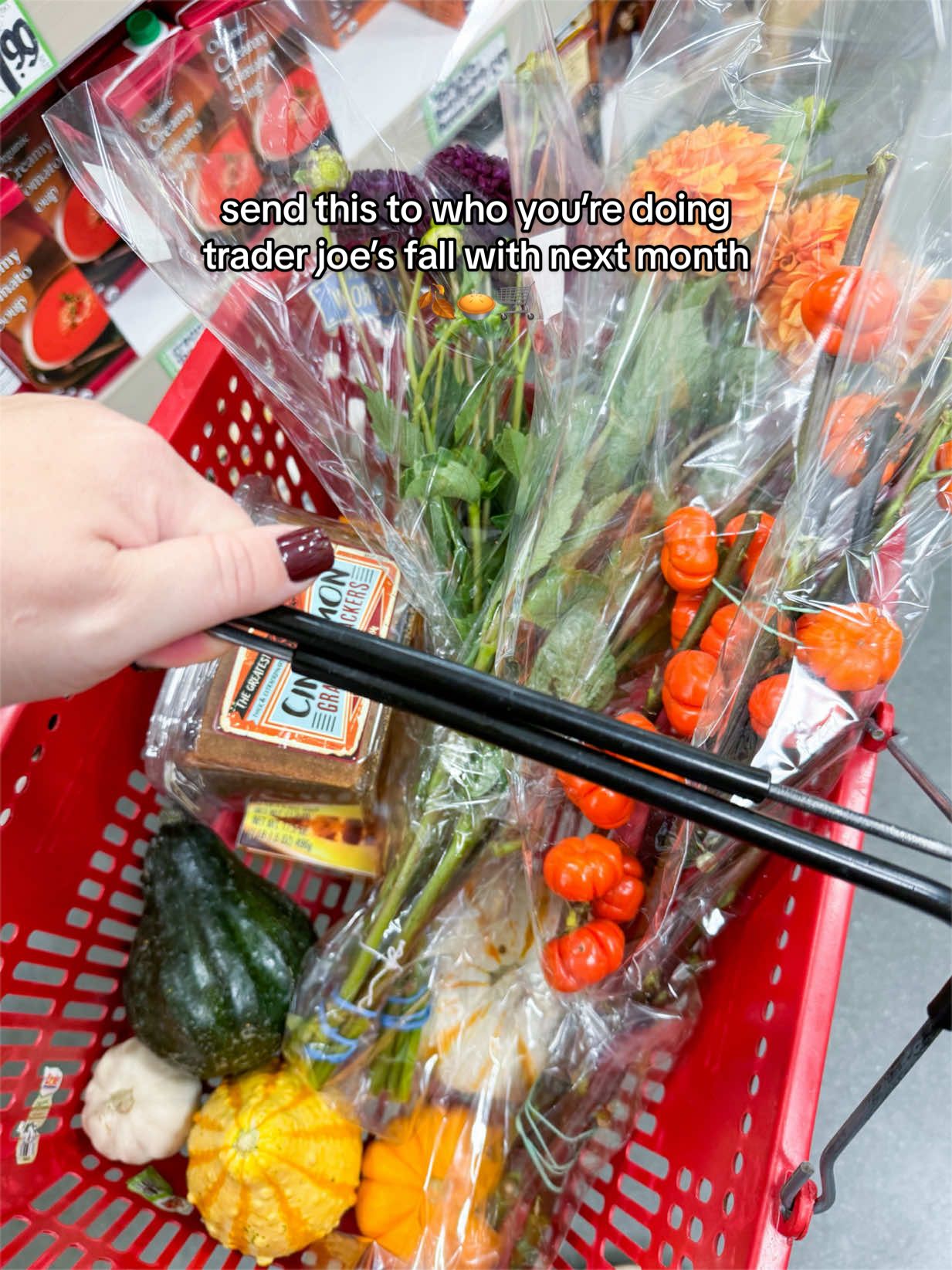 @Seasonal Kaitlyn