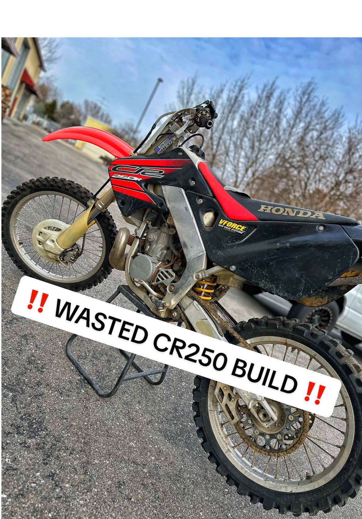 @mXrevival