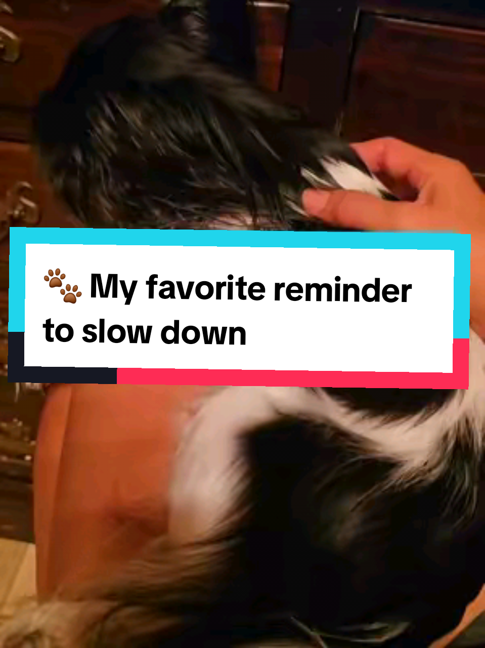 @TheLittleLunaBean