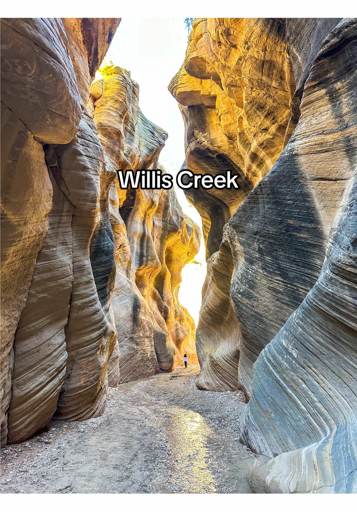 @trailboundjourneys