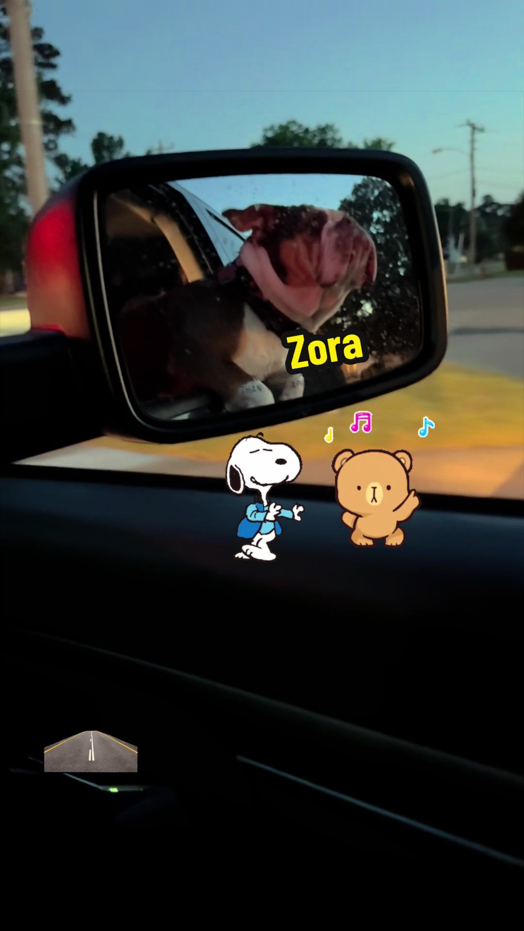 @Zora the bulldog