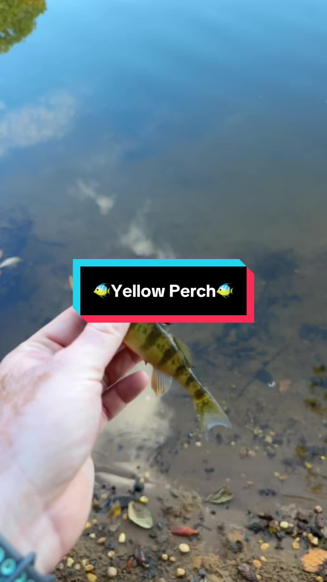 @fb1fishing