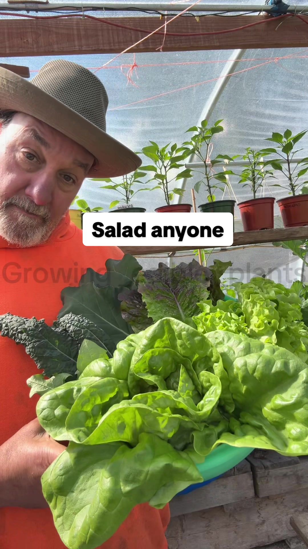 @GROWING_EDIBLE_PLANTS