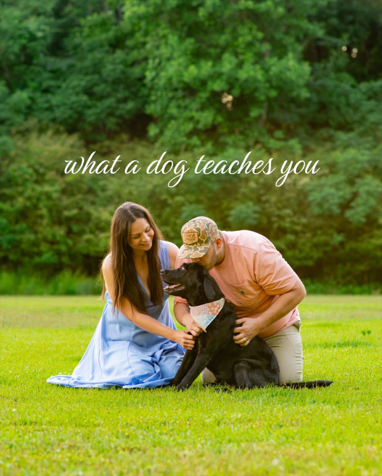 @MarriedWithDogs