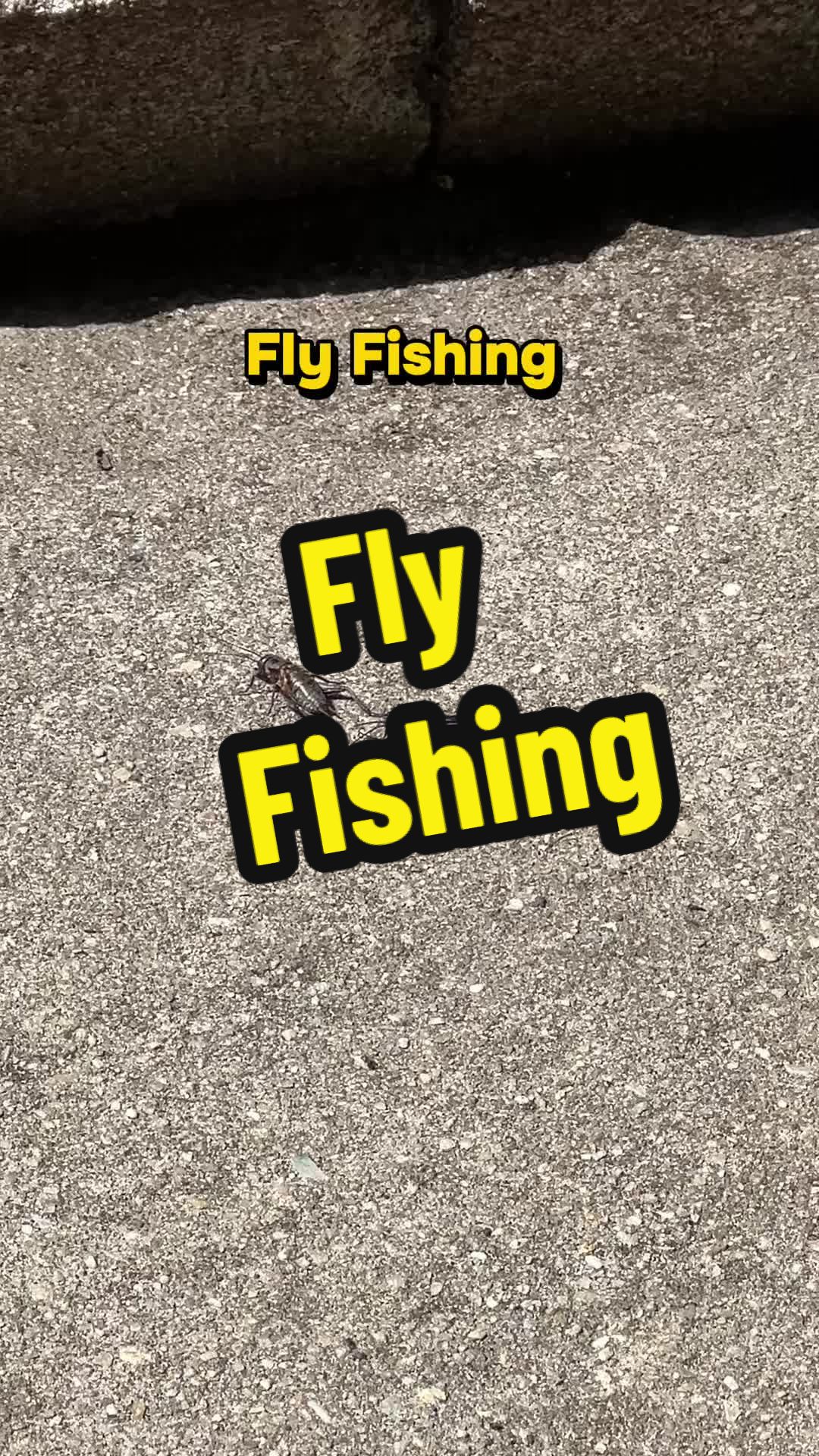 @For ReeLz Fishing 🎣