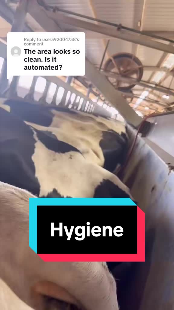 @Dairy Vet Dr. Michelle