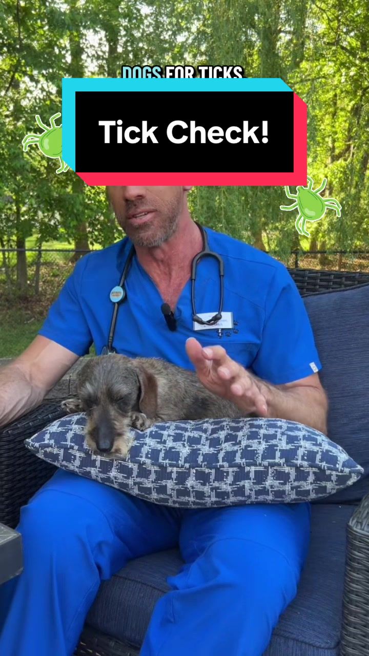 @dr.adam_christman_Veterinarian