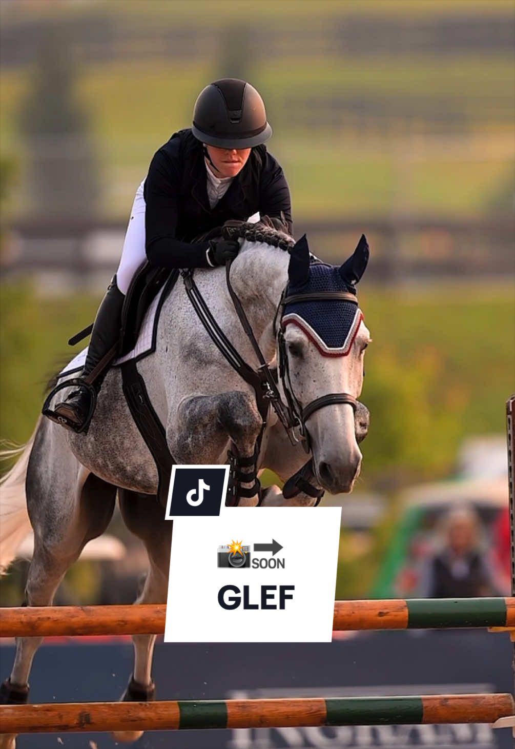 @corderoequine