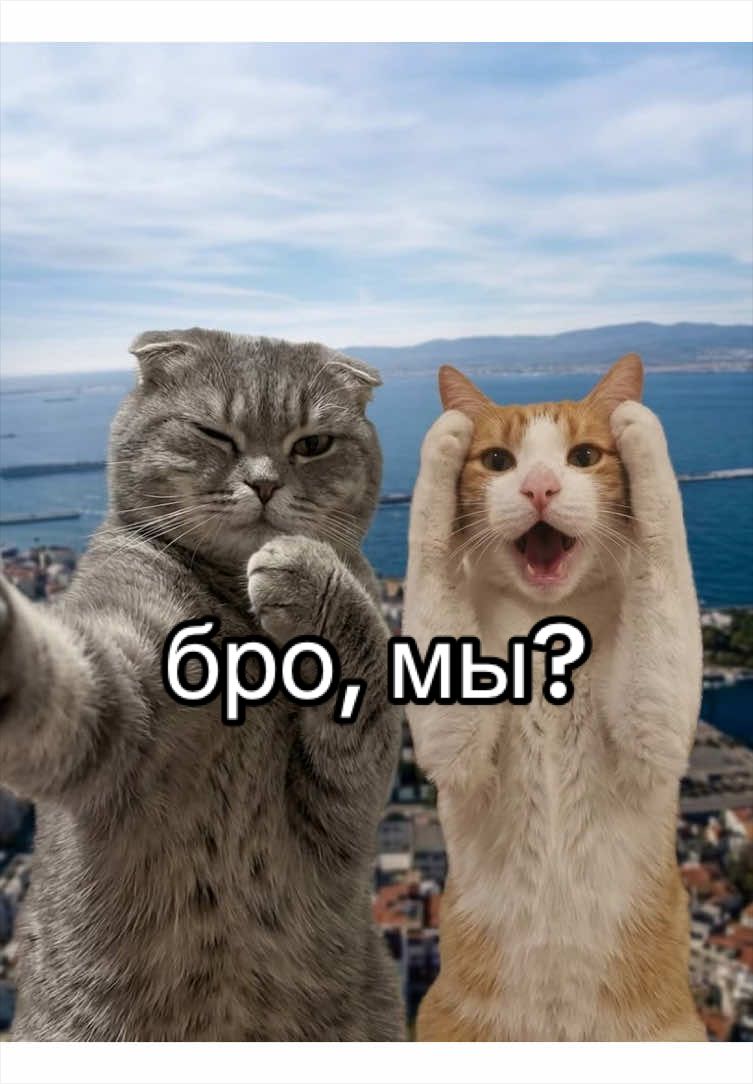 @без фильтра