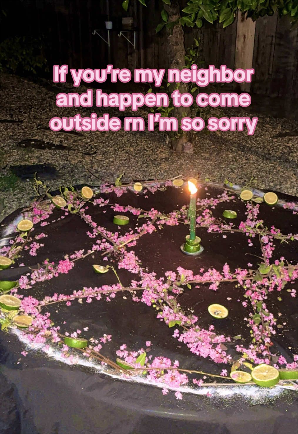 @Lex 🌺🧚🏼♀️