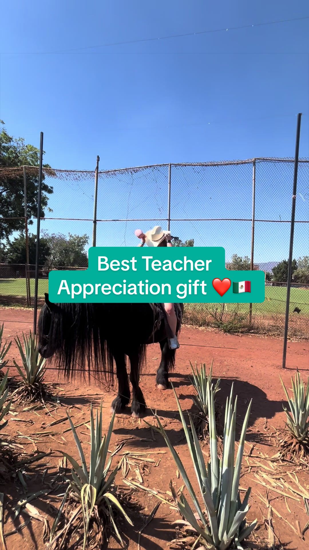 @Ms. Recinos