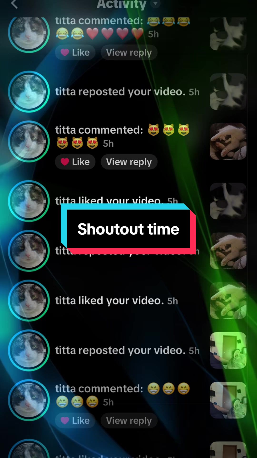 @catlover313official