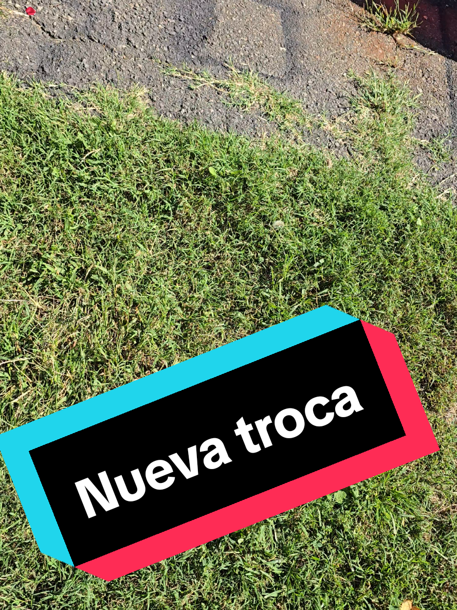 @Baja cars lovers