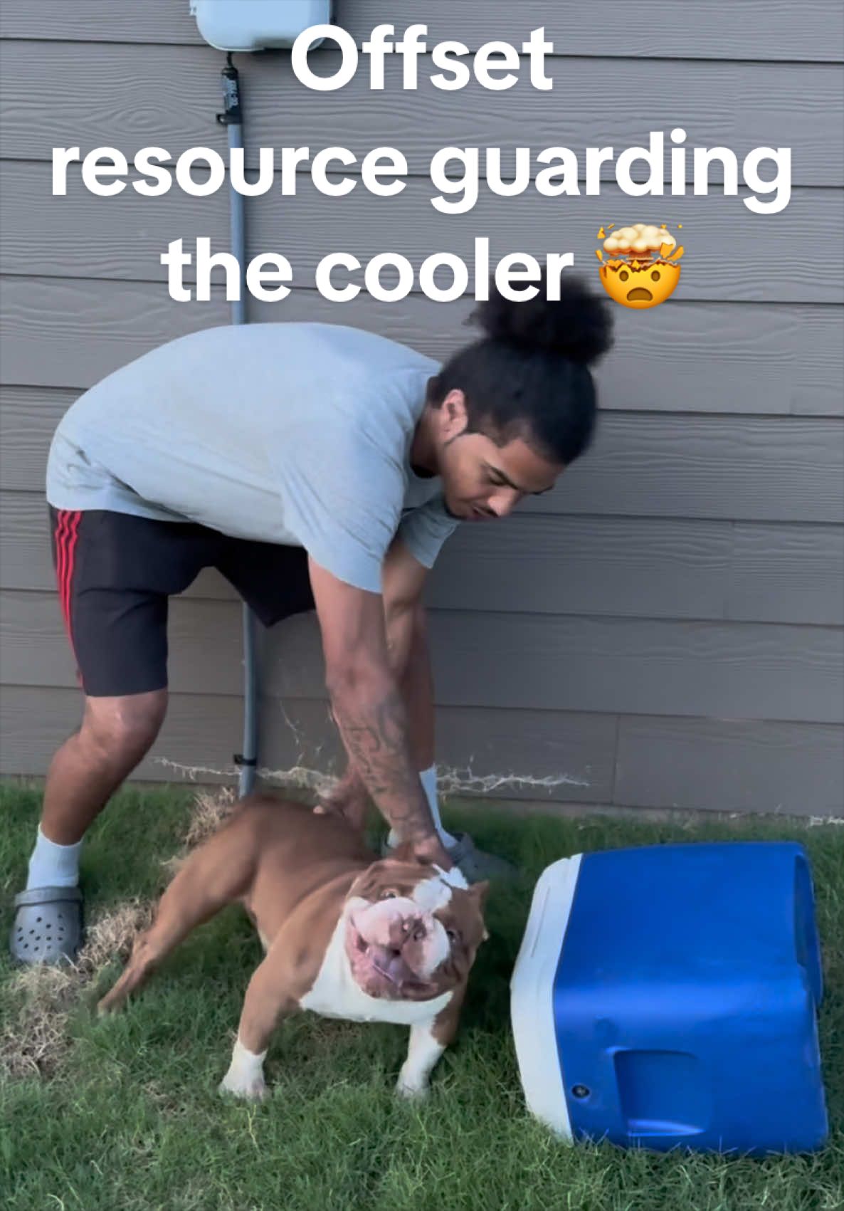 @FamousBullyOffset