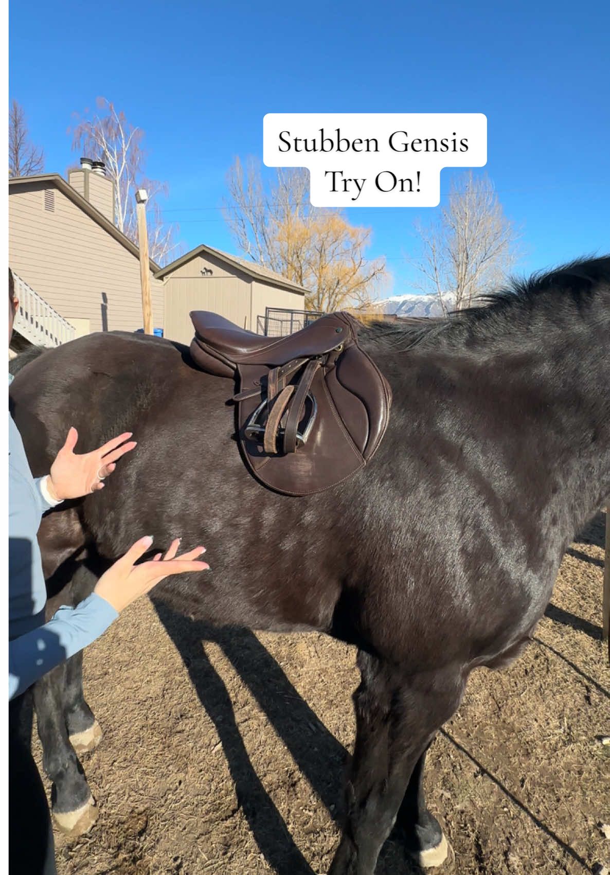 @addie | horse girl